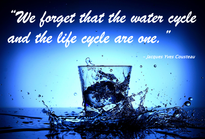 the water cycle and the life cycle are one