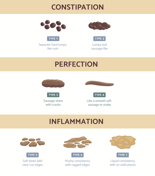 bristol stool chart