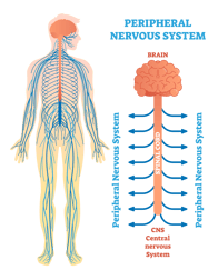 shutterstock_1041989587