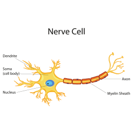 What Causes Neuropathy to Get Worse?